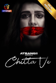 Chitta Ve 2024 Hindi S01 Complete Web Series Download (2024)